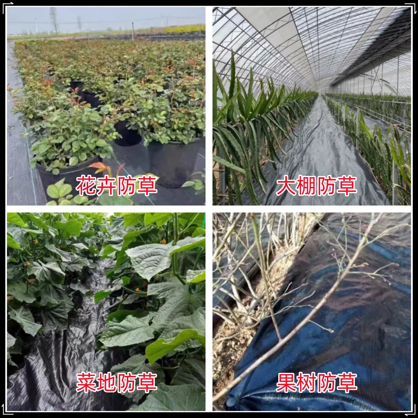 西宁市大棚膜防草布 - 排名